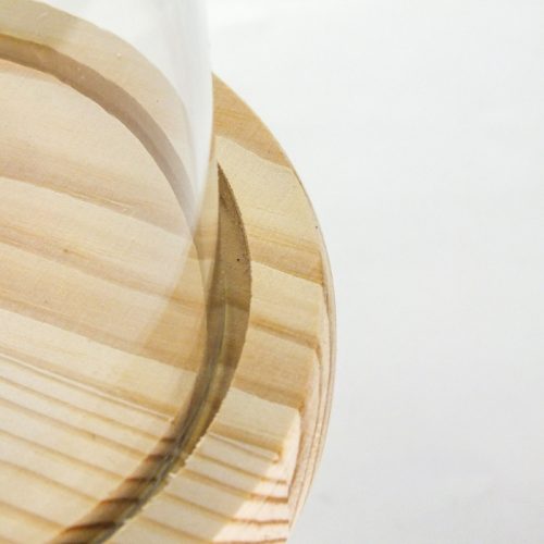 Üvegbúra fa talppal 11*15cm