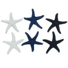 Tengeri csillag csomag 6db/csomag