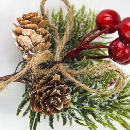 Téli pick- tobozos fenyős bogyós ág