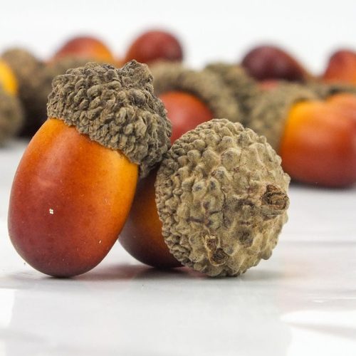 Dekorációs makk kb. 500db/csomag - OKOSÁR!