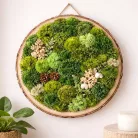 Fa szelet alátét 20-22cm