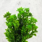 Mini korall csokor zöld 2 db/csom