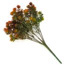 Mini pozsgás csokor barna