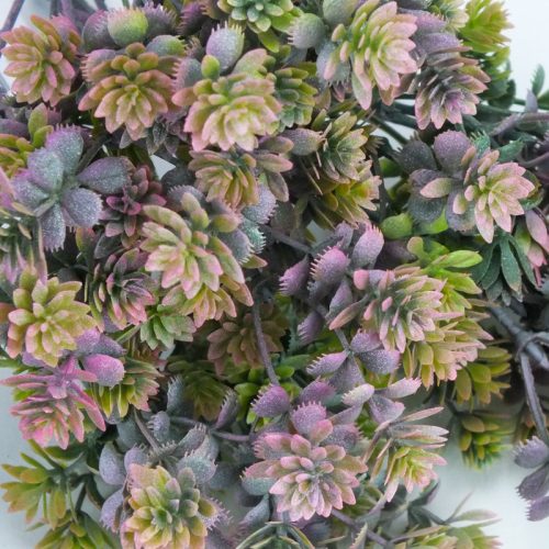 Mini pozsgás csokor hamvas pink