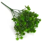 Mini pozsgás csokor zöld