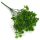 Mini pozsgás csokor zöld