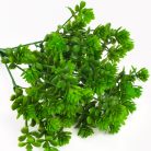 Mini pozsgás csokor zöld