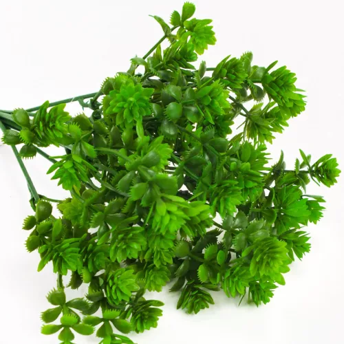 Mini pozsgás csokor zöld