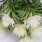 Mini protea csokor fehér