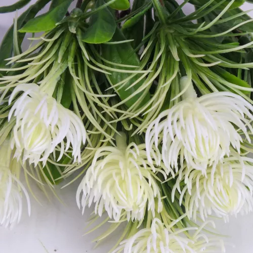 Mini protea csokor fehér