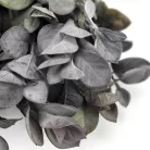 Babér csokor lilászöld