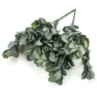 Babér csokor sötétzöld