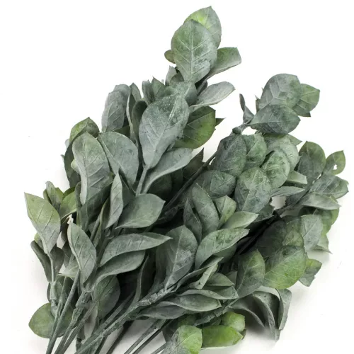 Babér csokor sötétzöld