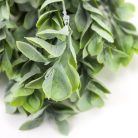 Babér csokor világoszöld