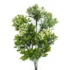 Bigyibogyó csokor fehér