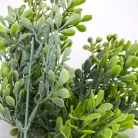 Bigyibogyó csokor fehér