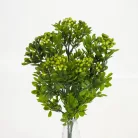 Bigyibogyó csokor zöld