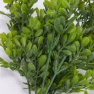 Bigyibogyó csokor zöld