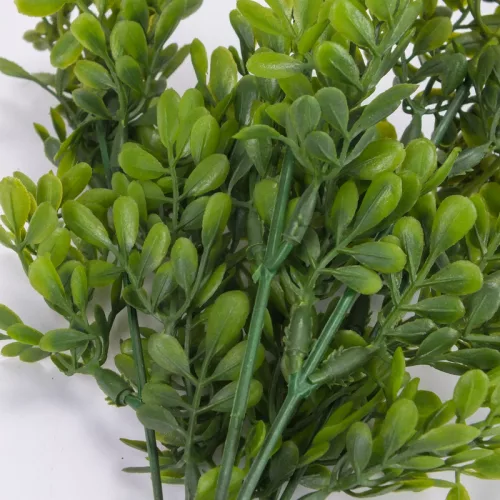 Bigyibogyó csokor zöld