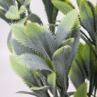 Mimóza csokor világoszöld