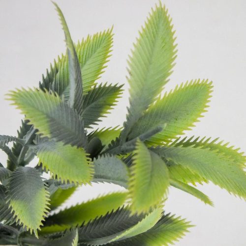 Mimóza csokor világoszöld