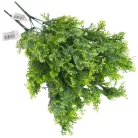 Smaragd thuja csokor hamvaszöld