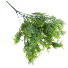 Smaragd thuja csokor hamvaszöld