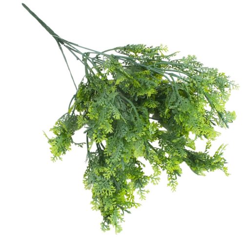 Smaragd thuja csokor hamvaszöld