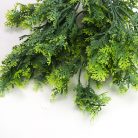 Smaragd thuja csokor hamvaszöld