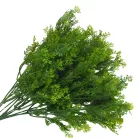 Smaragd thuja csokor sötétzöld