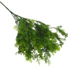 Smaragd thuja csokor sötétzöld