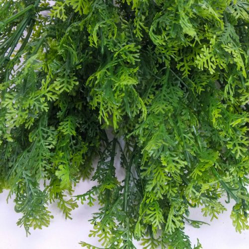 Smaragd thuja csokor sötétzöld
