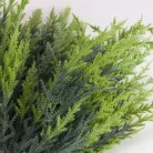 Thuja csokor világoszöld 2db/csomag
