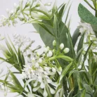 Muscari csokor fehér 2db/csomag