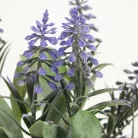 Muscari csokor lila 2db/csomag