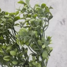 Buxus csokor hamvaszöld