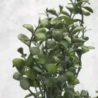 Buxus csokor sötétzöld