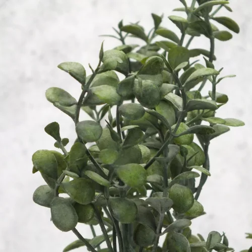 Buxus csokor sötétzöld
