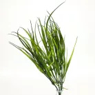 Fűcsokor sötétzöld