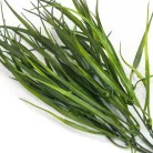 Fűcsokor sötétzöld