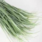 Fűcsokor világoszöld