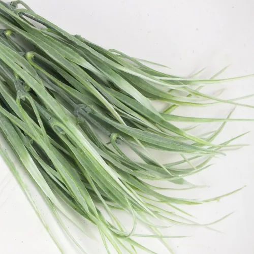 Fűcsokor világoszöld