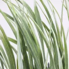 Fűcsokor világoszöld