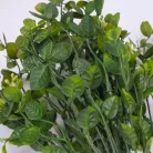 Bogyós buxus csokor zöld