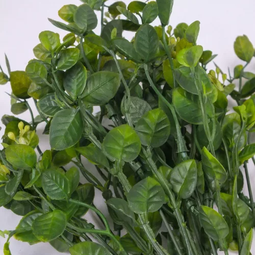 Bogyós buxus csokor zöld