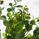 Bogyós buxus csokor zöld