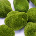 Dekoratív moha kövek 15db/cs