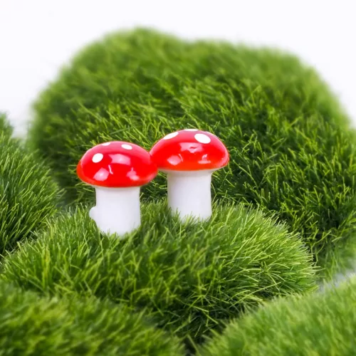 Dekoratív füves kövek 5db/cs