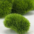 Dekoratív füves kövek 5db/cs