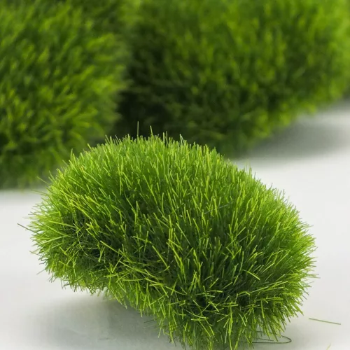 Dekoratív füves kövek 5db/cs